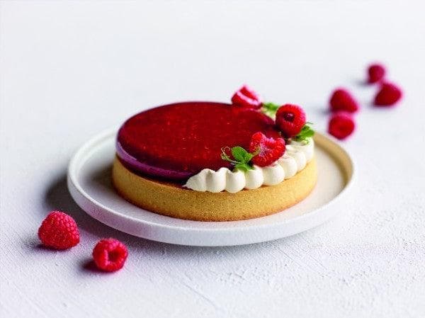 Puratos Topfil Finest Raspberry Seeds 70% – frambozenvulling 4,5 kg